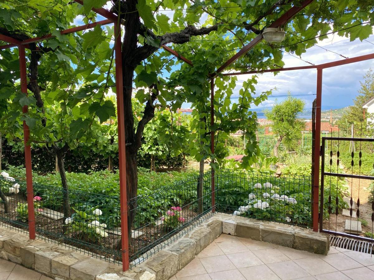 Apartment Gregoric Izola Ngoại thất bức ảnh