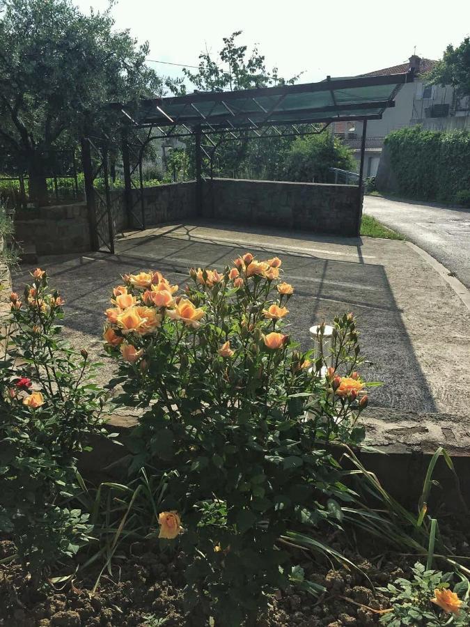 Apartment Gregoric Izola Ngoại thất bức ảnh